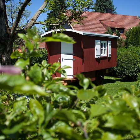 Apartamento Haus Am Salinenweg Grassau  Exterior foto